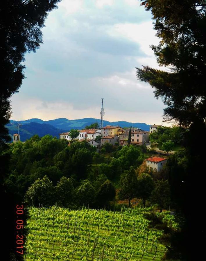 Fra Bosco E Cielo B&B Mercato Saraceno Екстер'єр фото