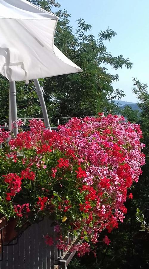 Fra Bosco E Cielo B&B Mercato Saraceno Екстер'єр фото